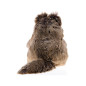 SIGIKID Beasts – Plush Cat Fritten Fritze 38456, 23 cm, washable, soft toy from 3 years